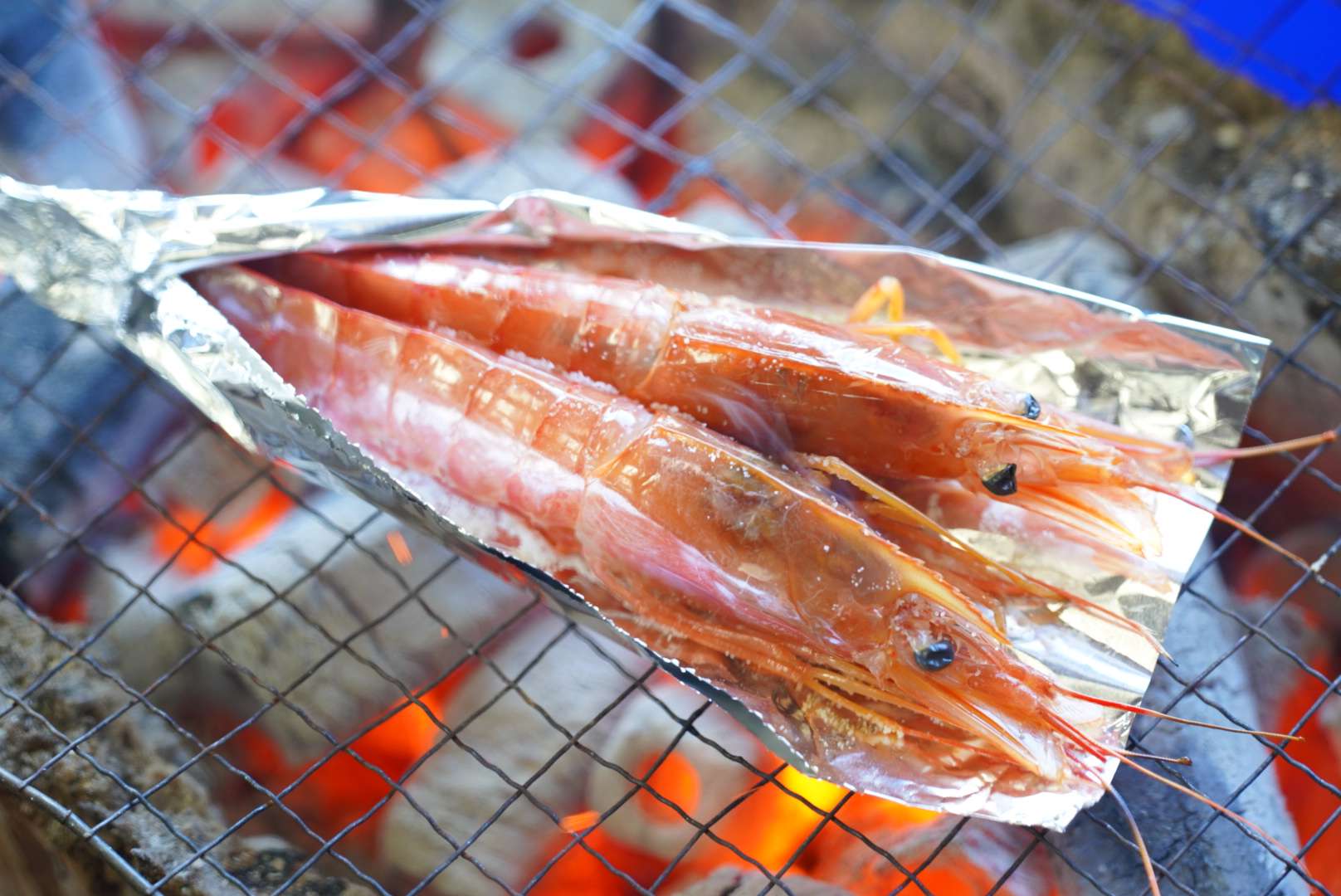 ~海鮮~